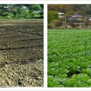 경동농장 이미지