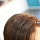 샾비아이앤