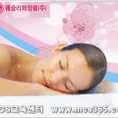 웨슬리화장품 Daum카페