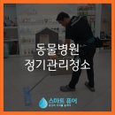 동탄동물병원 | 🐾 [동탄 동물병원 청소 후기!] 동탄 정기관리 청소는 동탄 정기청소업체 스마트퓨어가 우수합니다!