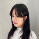 메이에르 이미지