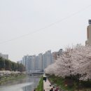 삼산초등길 이미지