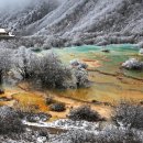 황용