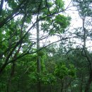 청벽가든 이미지