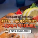 고씨네마켓
