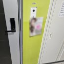 구월동 골목 상권 사로잡은 인천전단지배포 솔직한 후기