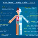 빌더바디(Build The Body) | 정신건강사회복지사가 주목해야 할 통증의 심리사회적 의미