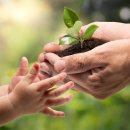 하랑어린이집 이미지