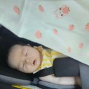 오가닉빌리지 | 베이비파스텔 용인본점 50일 촬영 준비물, 원본구매, 산후조리원연계 앨범제작 50일 촬영후기