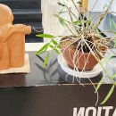 전주예치과의원 이미지