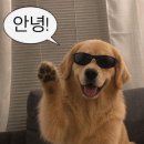 핵심 정리 한국사 | 수험생들이 선택한 한국사 정리자료, [우쑤판서] 내돈내산 후기