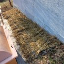 약사명동행정복지센터 이미지