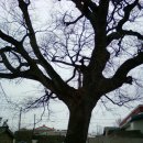 기룡경로당 이미지