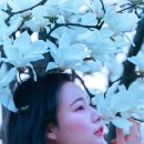 환상스튜디오