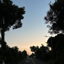 남원읍-94 이미지