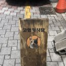 안녕, 고영희 이미지