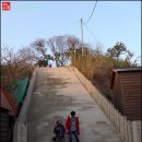 구룡포시장 이미지