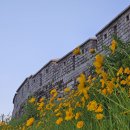 사회사업 심화과정, 6월 모임, 집단사회사업 보충 이미지