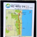 삼봉해수욕장 Daum카페