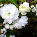 가천박물관 이미지