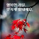 추억의 팝송 명곡 모음/7080 추억의 팝송 이미지