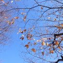 (사)부산밥퍼나눔공동체 - 기장군 일광면 | (사)부산밥퍼나눔공동체