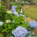 충우농장 이미지