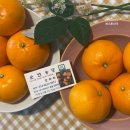 순연농장 이미지