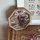 플러피 스튜디오 이미지