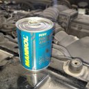 현대카프라자 이미지