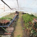 둘리농장 이미지