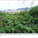 낙동강변21 이미지