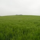 보리창고 이미지