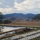 내1리경로당 이미지