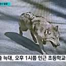 대전오월드 이미지