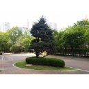 태영단지내공인중개사사무소 이미지