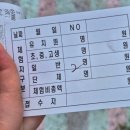 2026 고창하전 바지락축제 바지락캐기체험 후기 | 동죽만 가득?! 솔직 갯벌체험 꿀팁 총정리