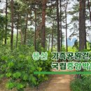 용산가족공원 주차장 화장실 Daum카페