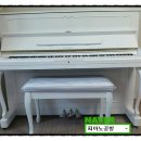 분당-278 이미지