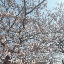 수영강변로2 이미지