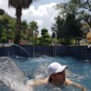 제주곶자왈별장 이미지