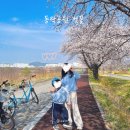 상계역 자전거대여소(11월~2월) | 구미 동락공원 벚꽃 - 자전거 대여, 봄나들이 아이랑 가볼만한 곳