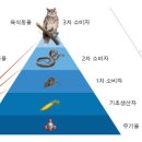 요리독 이미지