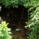 행수농장 이미지