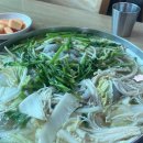 큰손가요광장 이미지