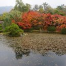 다온메디컬 이미지