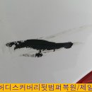 광양카랜드 이미지