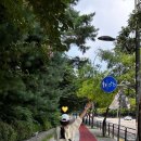 방배로 14 (7) 이미지