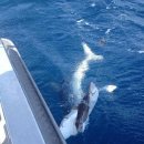 상어피시방 이미지