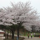 봉황산 공원 이미지